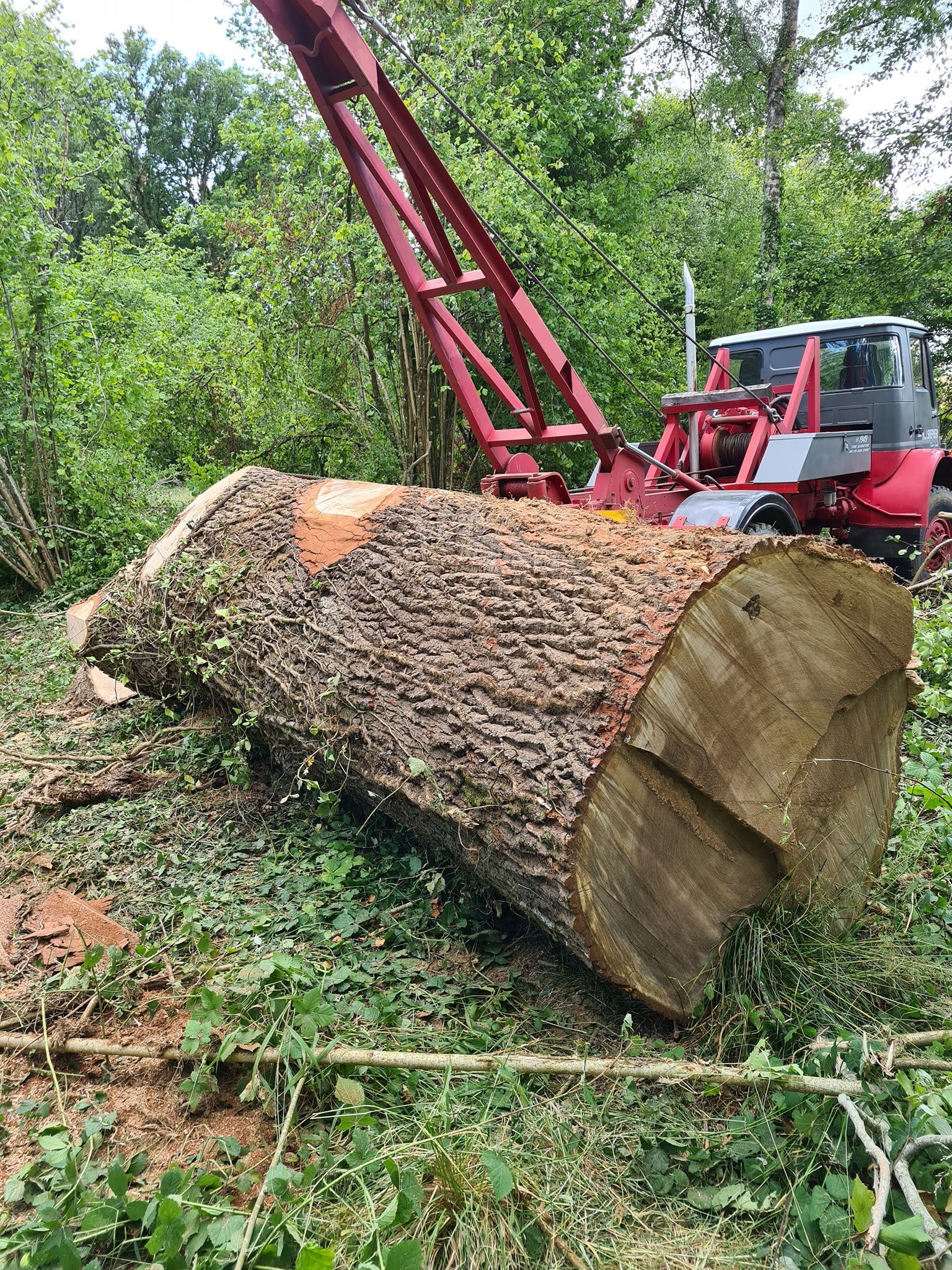 152903110_2843920192555656_3218516925074949262_n