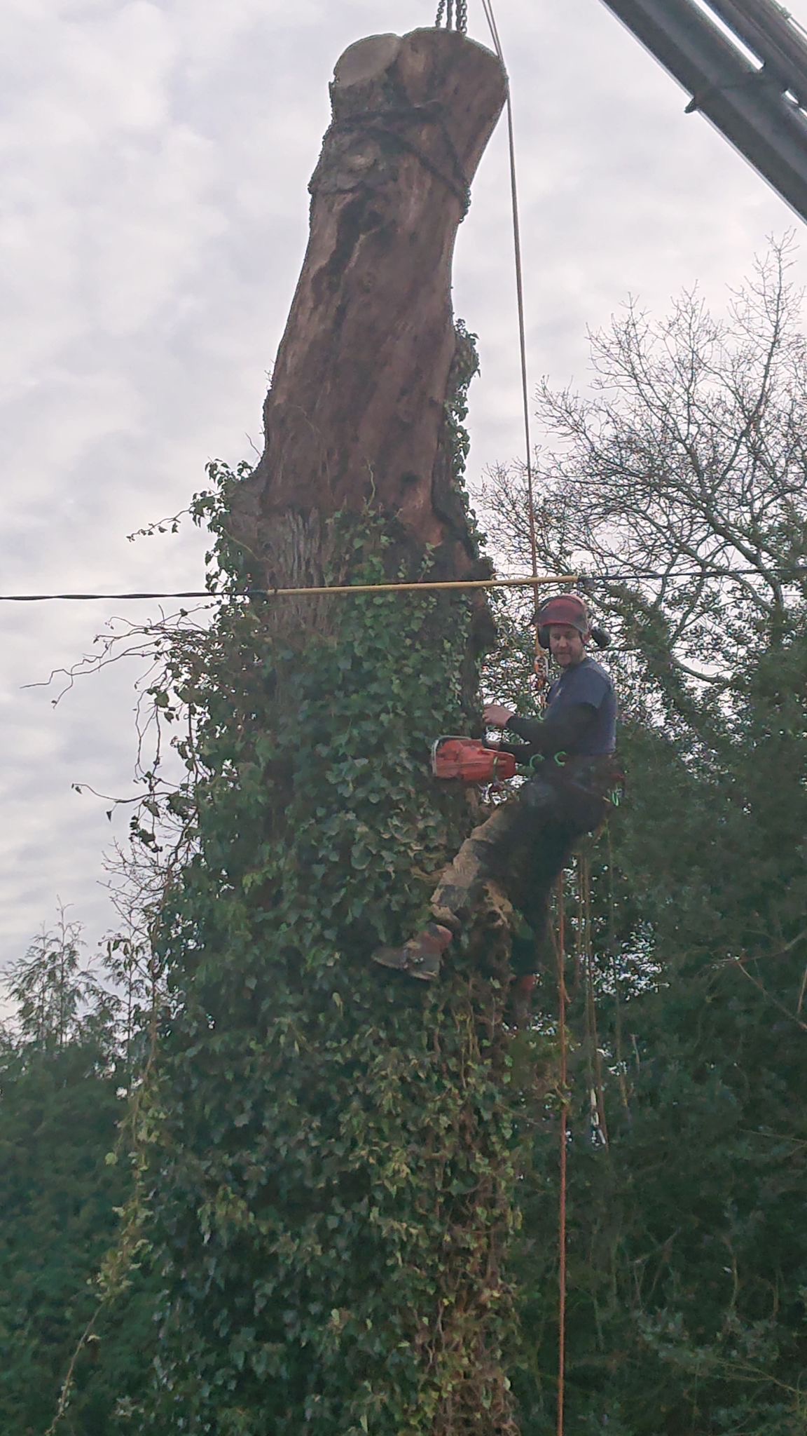 6f5b060a-5e4e-4ed2-bbec-86cdc6356e8f