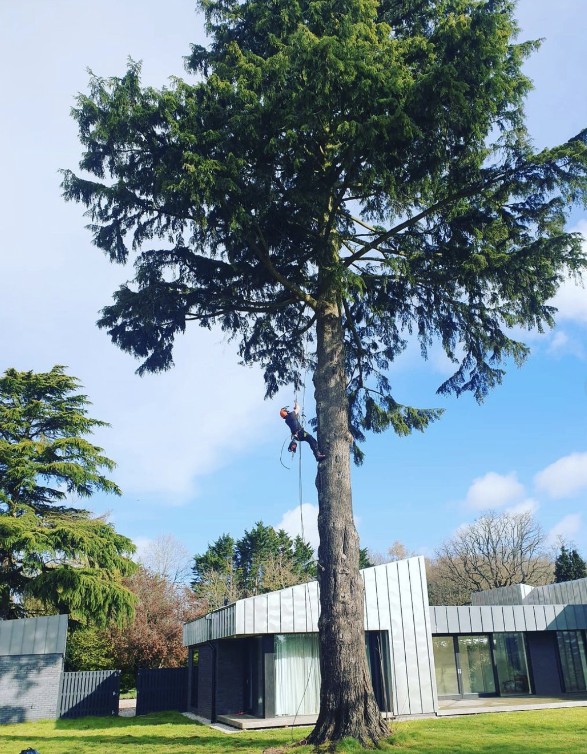 Screenshot 2024-02-16 at 13.46.14