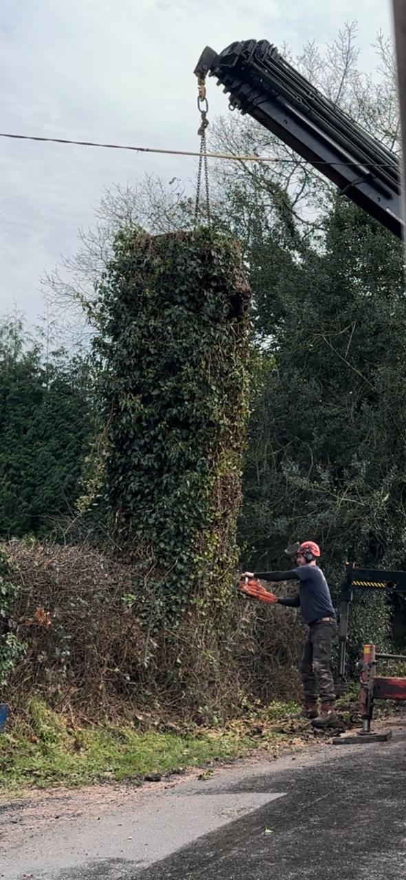 af1f68f5-216a-44e6-98a9-8371aed0c3ed